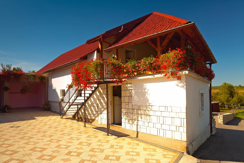 Apartment Jakovljevic Gornji Vaganac Phòng bức ảnh