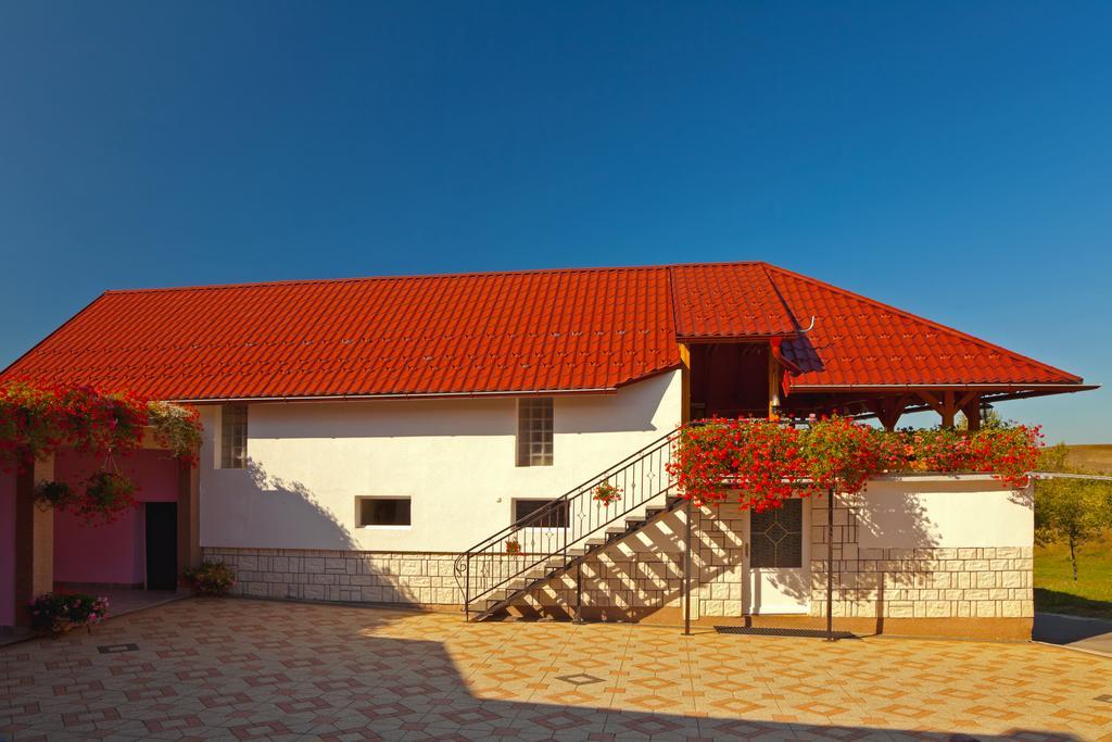 Apartment Jakovljevic Gornji Vaganac Phòng bức ảnh
