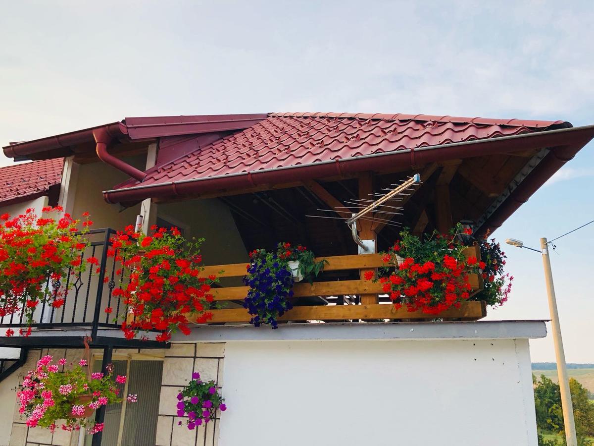 Apartment Jakovljevic Gornji Vaganac Ngoại thất bức ảnh